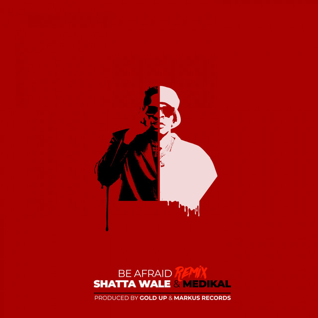'Be Afraid (Remix)' cover art