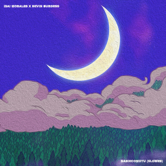 'NADIECOMOTU SLOWED' cover art