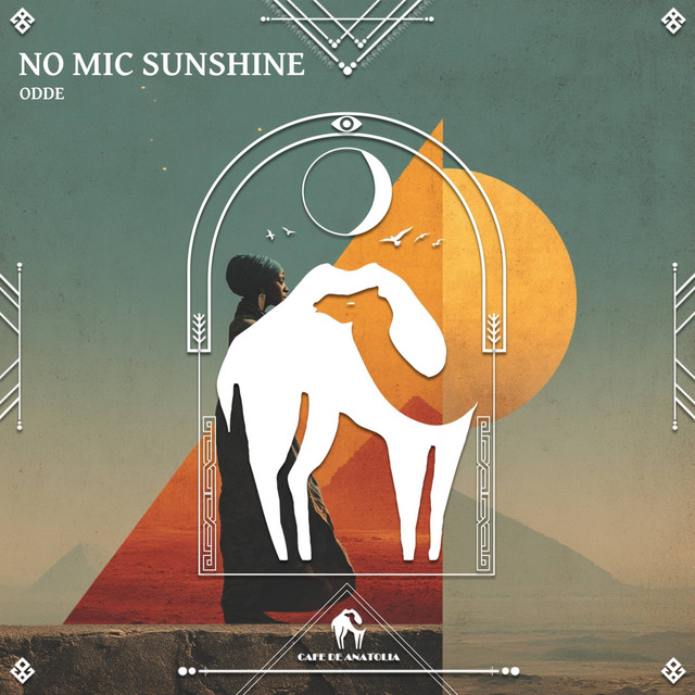 'No Mic Sunshine' cover art