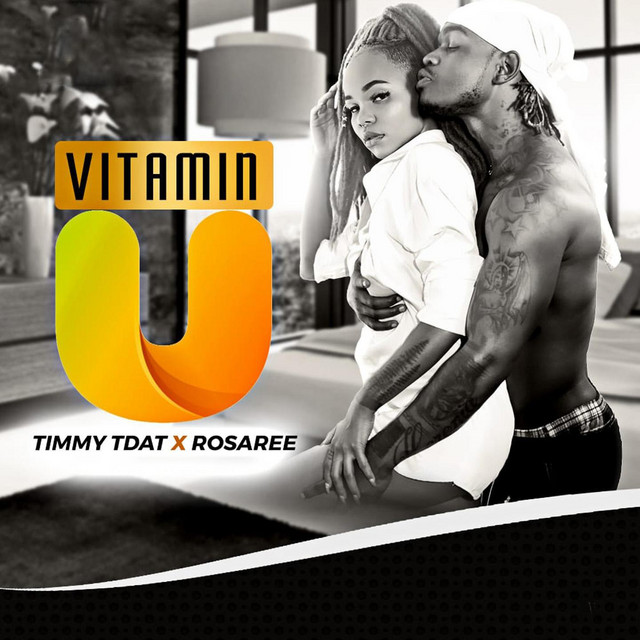 'VITAMIN U' cover art