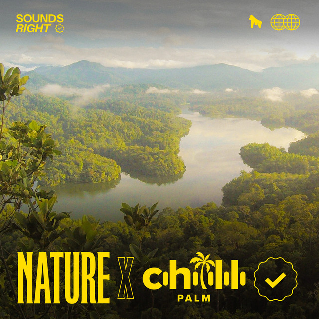 'Sounds of the Colombian Amazon' cover art