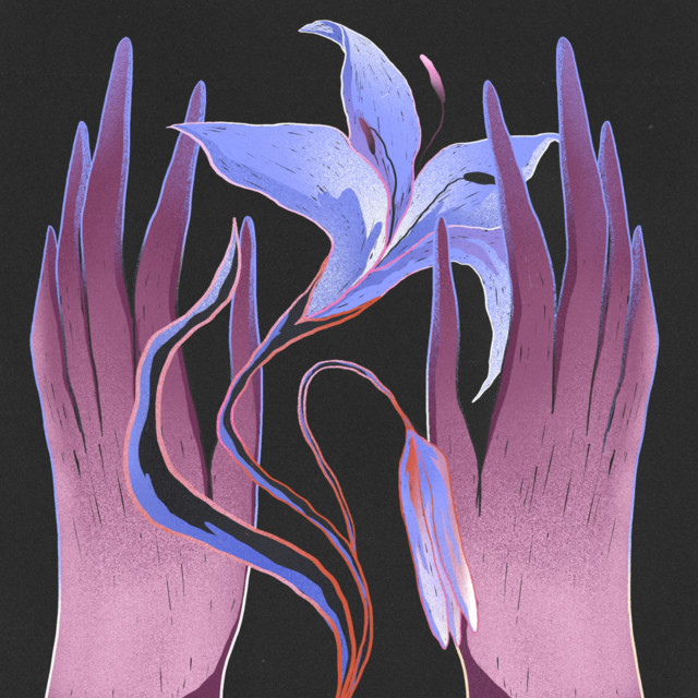 'once in a lifetime.' cover art