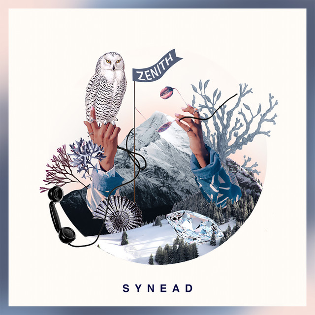 'Zenith' cover art