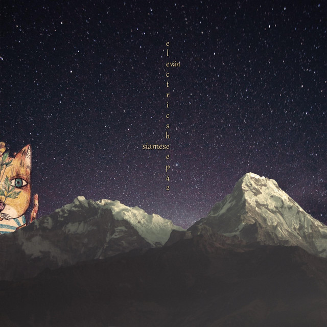 'Siamese' cover art