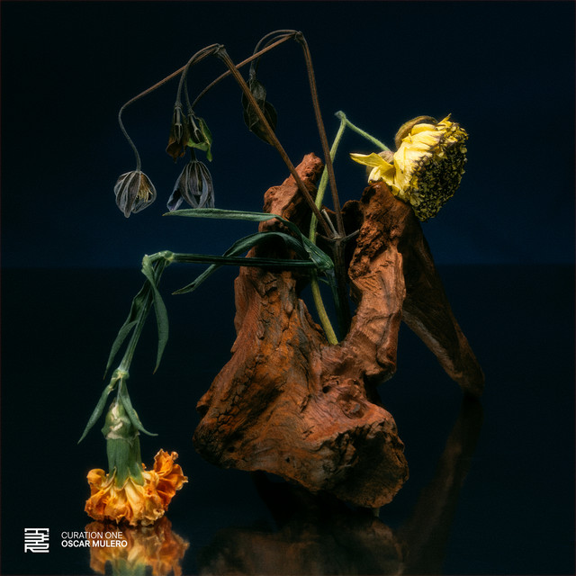 'Curation One: Oscar Mulero' cover art