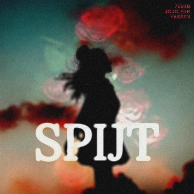 'Spijt' cover art