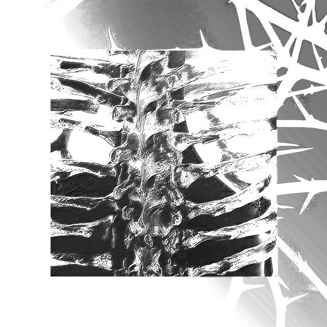 'Assault' cover art