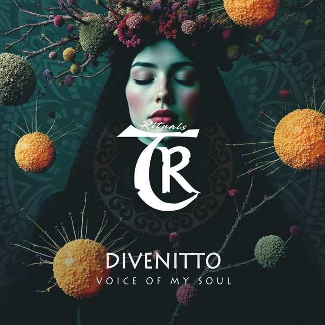 'Voice of My Soul' cover art
