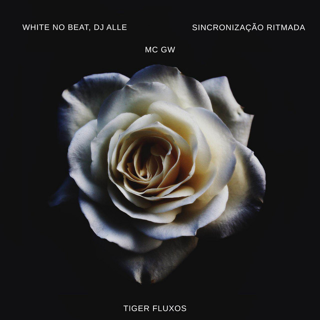 'SINCRONIZAÇÃO RITMADA' cover art