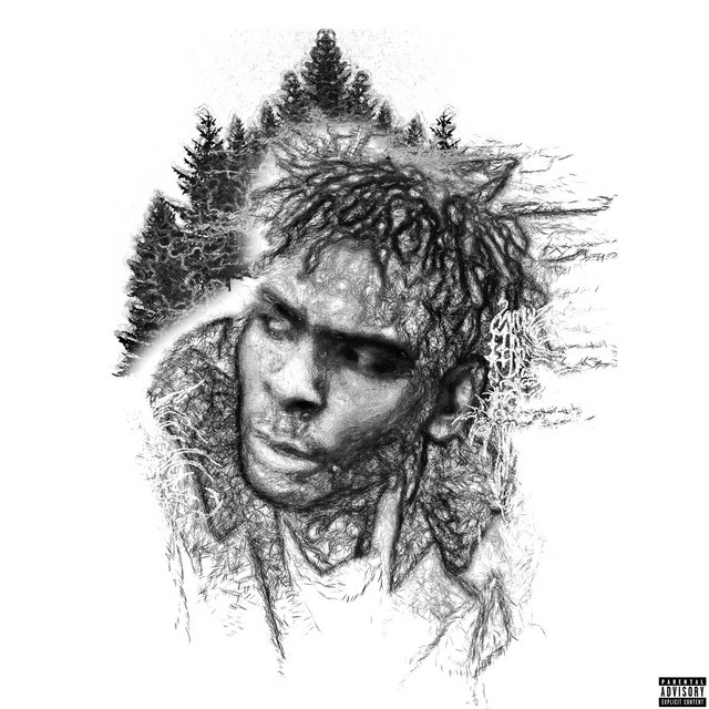 'BIG CAMO' cover art