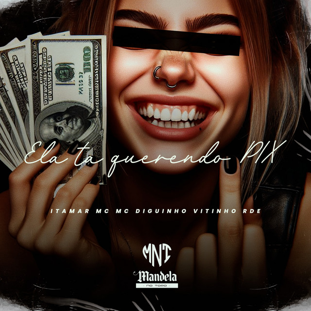 'Ela Ta Querendo Pix' cover art