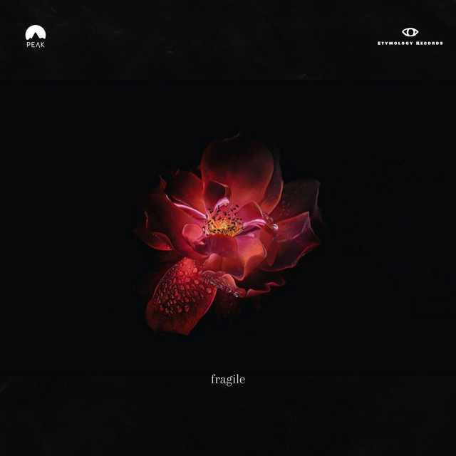 'Fragile' cover art