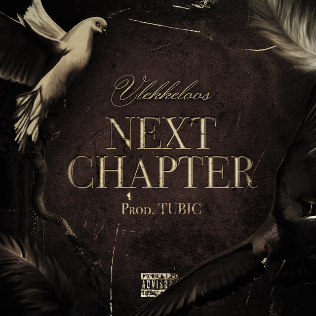 'Next Chapter' cover art