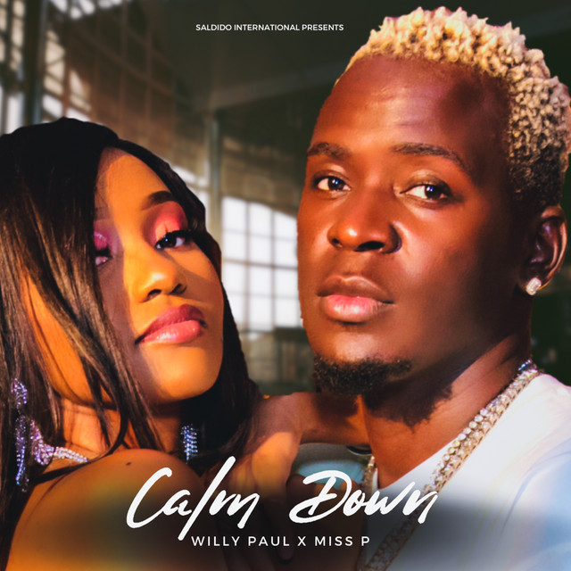 'Calm Down' cover art