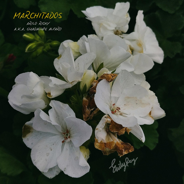 'Marchitados' cover art
