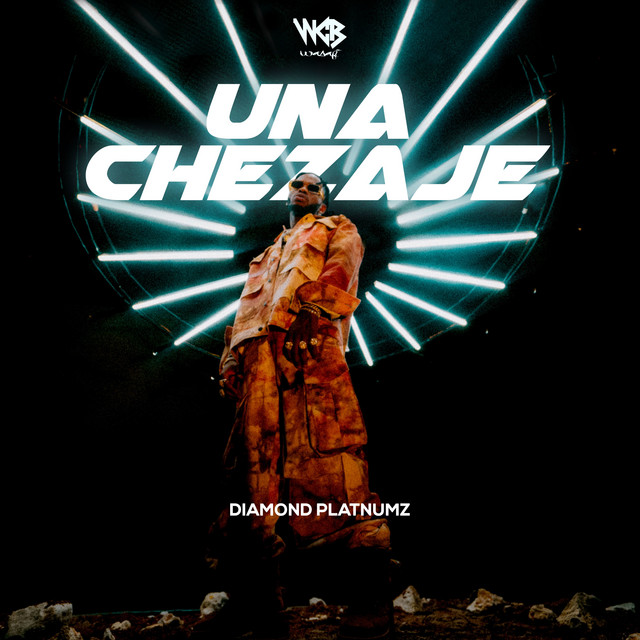 'Unachezaje' cover art