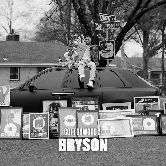 'Cottonwood 2: BRYSON' cover art