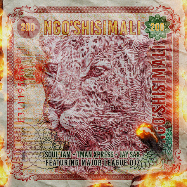 'Ngo'shisimali' cover art