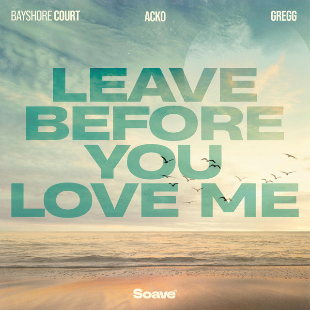 'Leave Before You Love Me' cover art