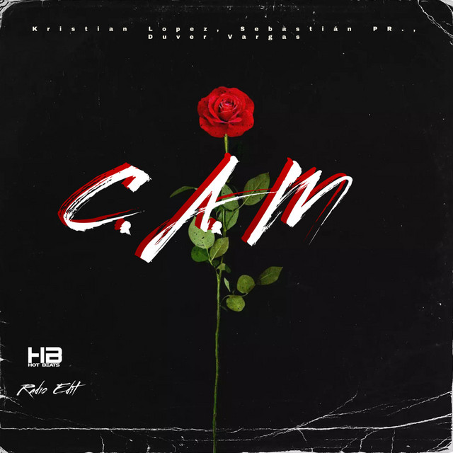 'C.A.M (Radio Edit)' cover art
