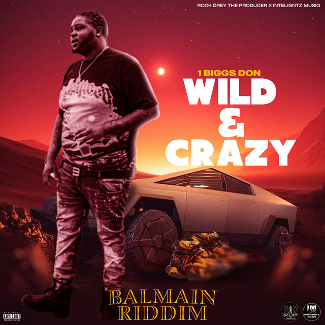 'Wild & Crazy (Balmain Riddim)' cover art