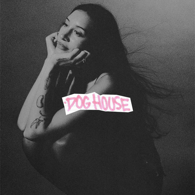 'DOG HOUSE' cover art