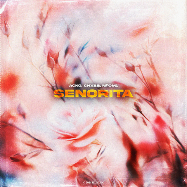 'Senorita' cover art