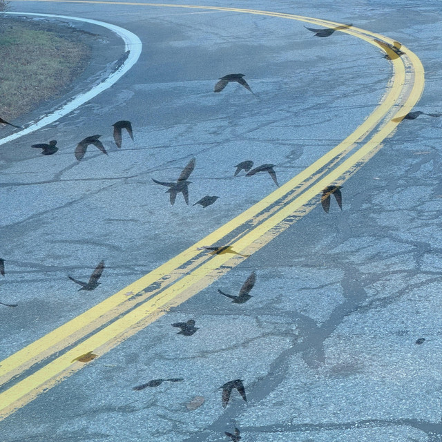 'Miles, Miles, Miles, Miles' cover art