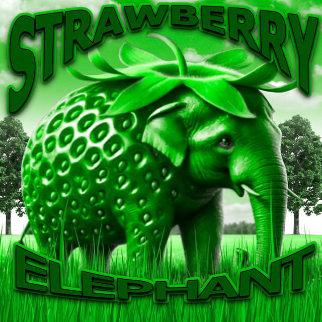 'Strawberry Elephant Phonk (Super Slowed)' cover art