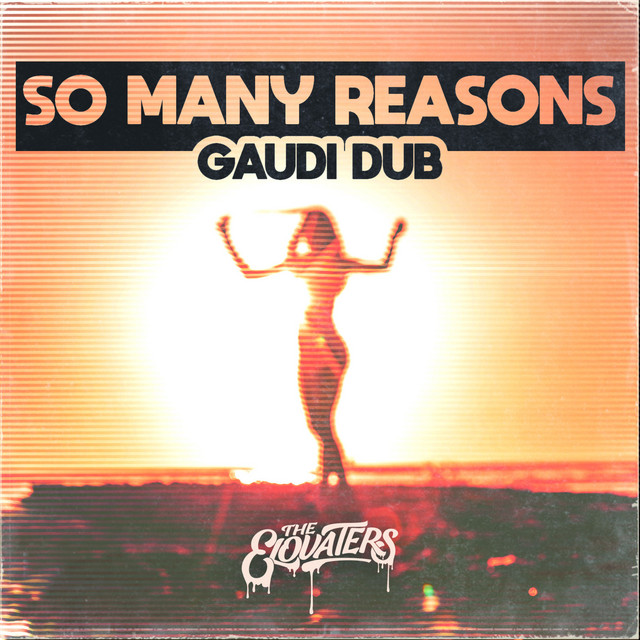 'So Many Reasons (Gaudi Dub)' cover art