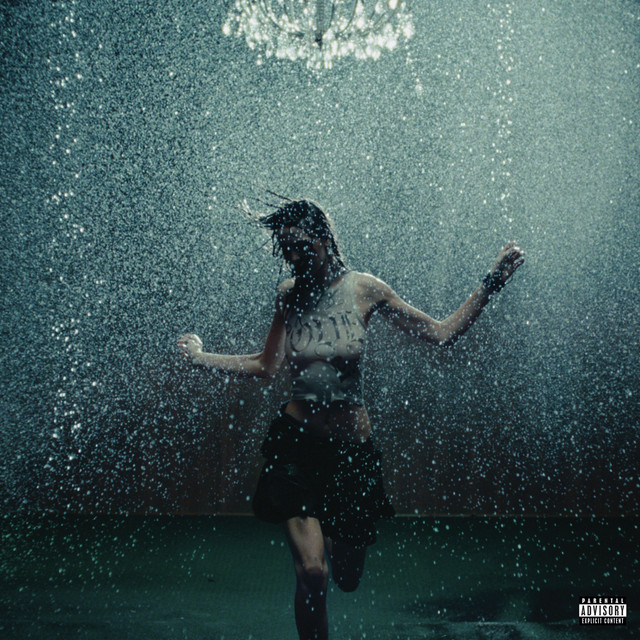 'F*CK SWAG' cover art