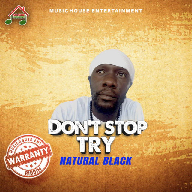 'Don't Stop Try' cover art