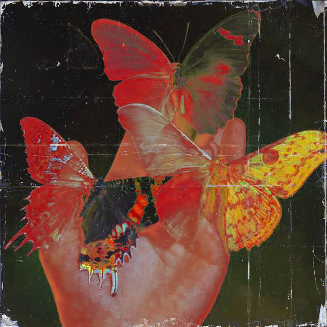 'why is the rain so loud' cover art