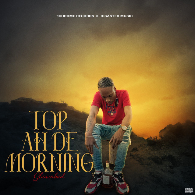 'Top Ah De Morning' cover art