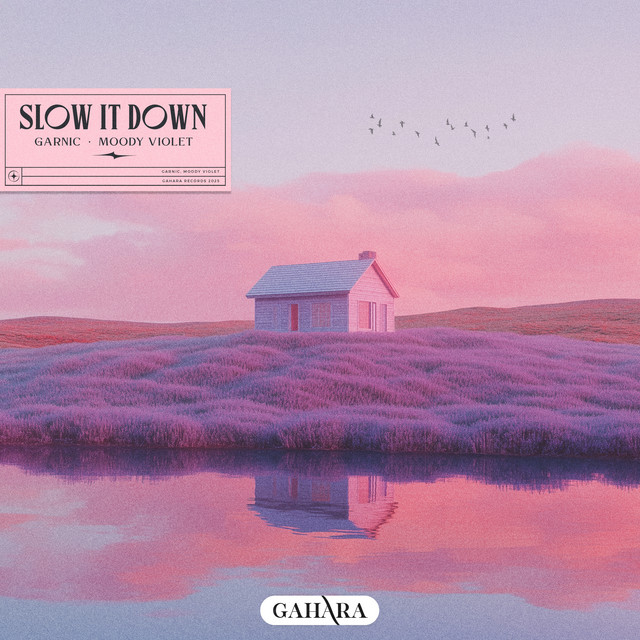 'Slow It Down' cover art