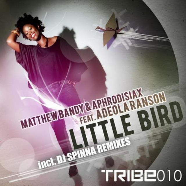'Little Bird (feat. Adeola Ranson)' cover art