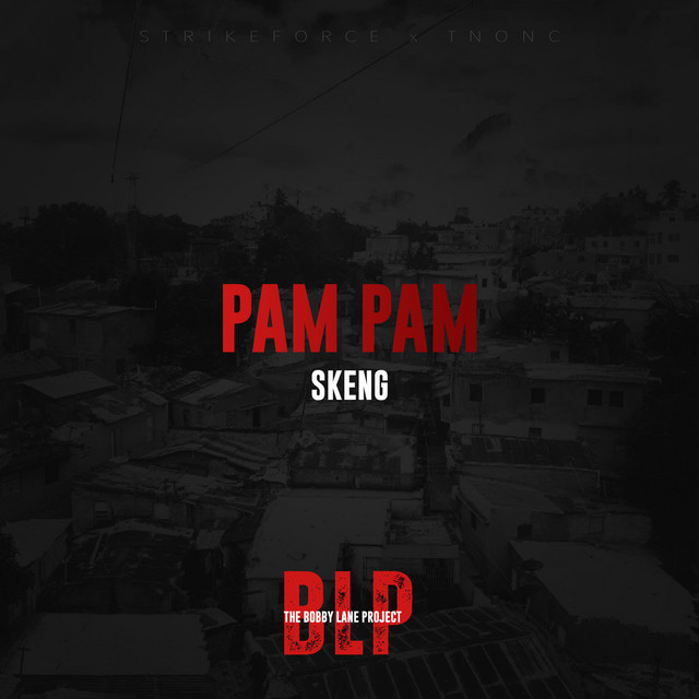 'Pam Pam' cover art