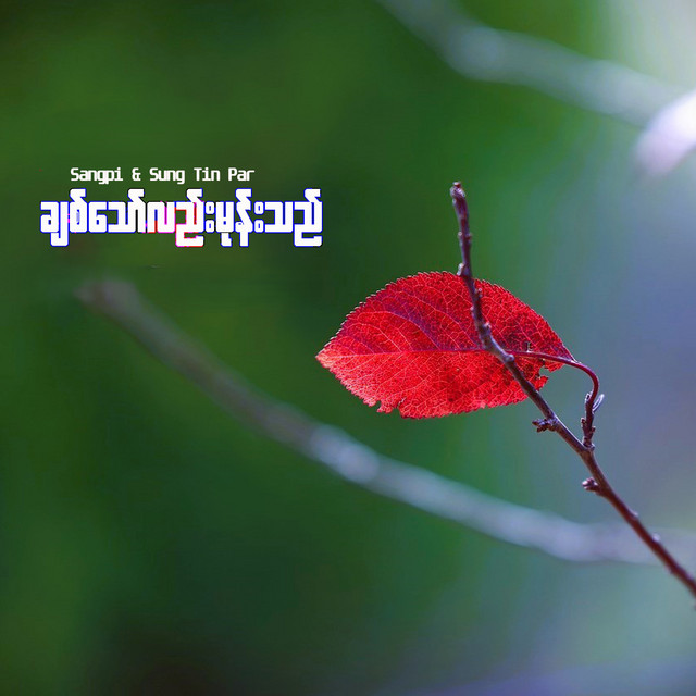 'ချစ်သော်လည်းမုန်းသည်' cover art