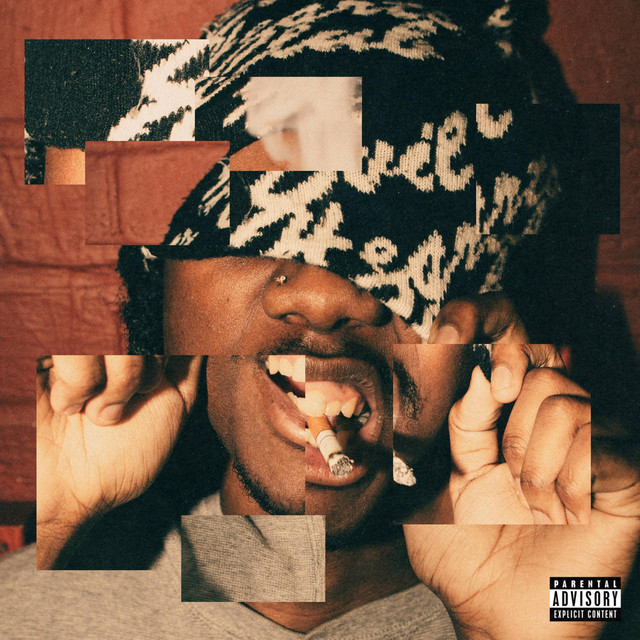 'said i would' cover art