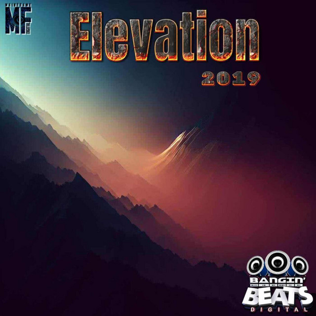 'Elevation 2019' cover art