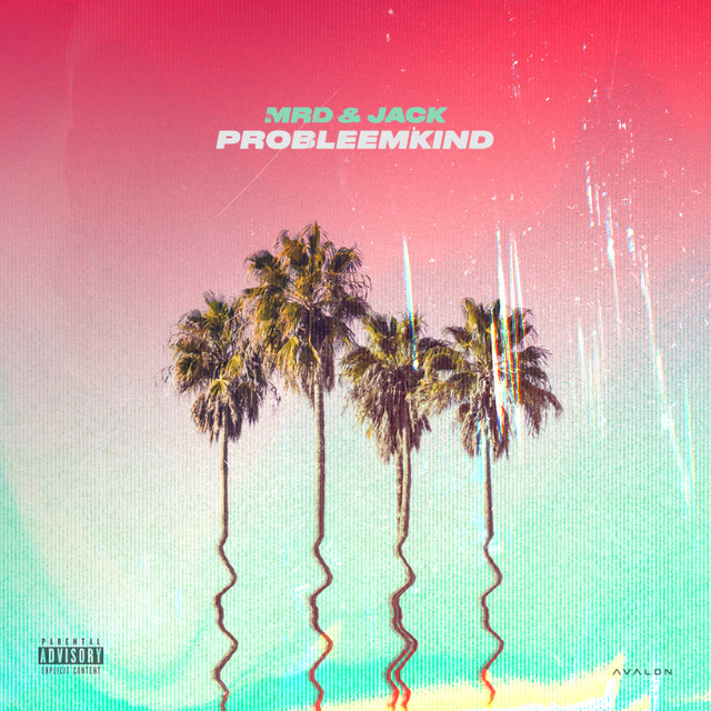 'Probleemkind' cover art