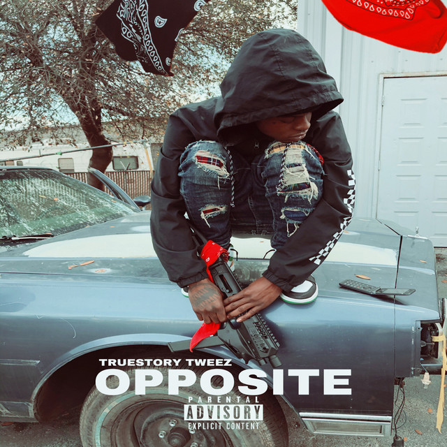 'Opposite' cover art