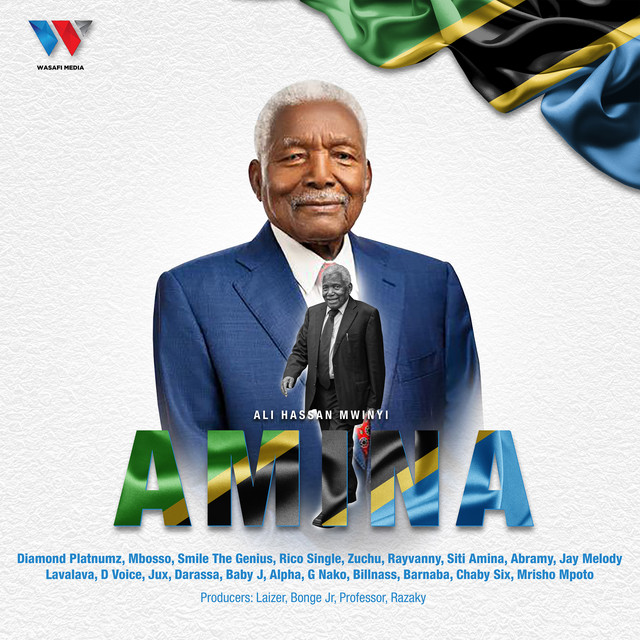 'Amina (Ali Hassan Mwinyi)' cover art