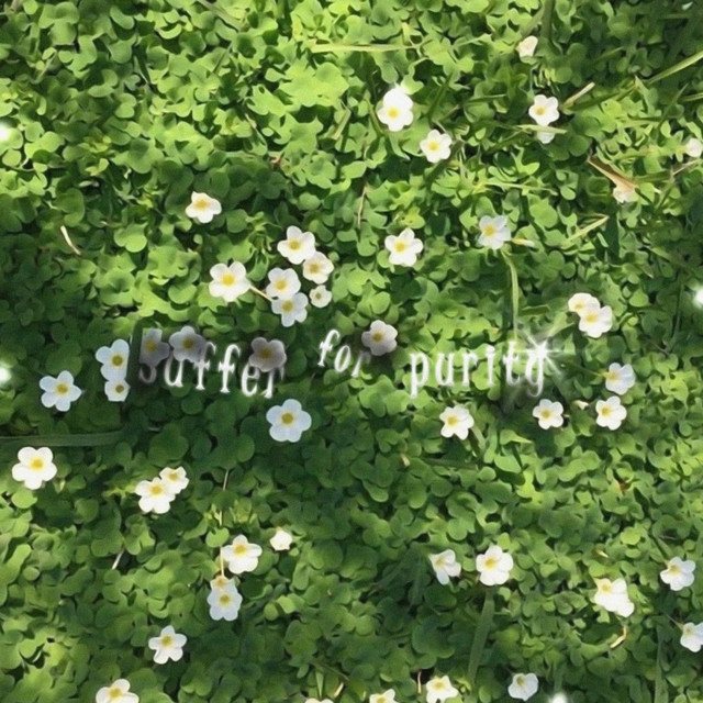 'sufferforpurity' cover art