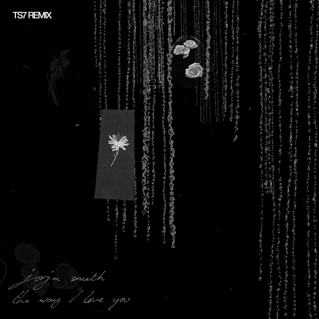 'The Way I Love You (TS7 Remix)' cover art