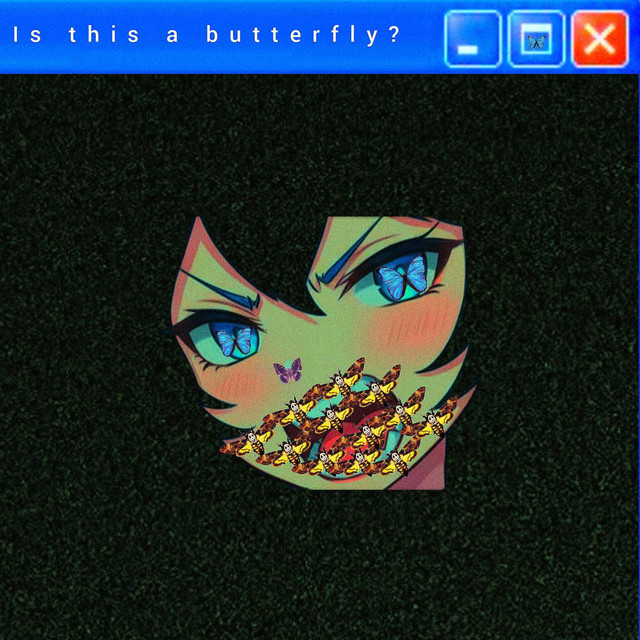 'Is this a butterfly?' cover art
