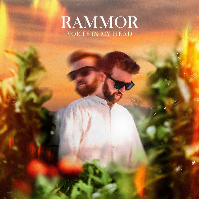 'Voices in My Head' cover art