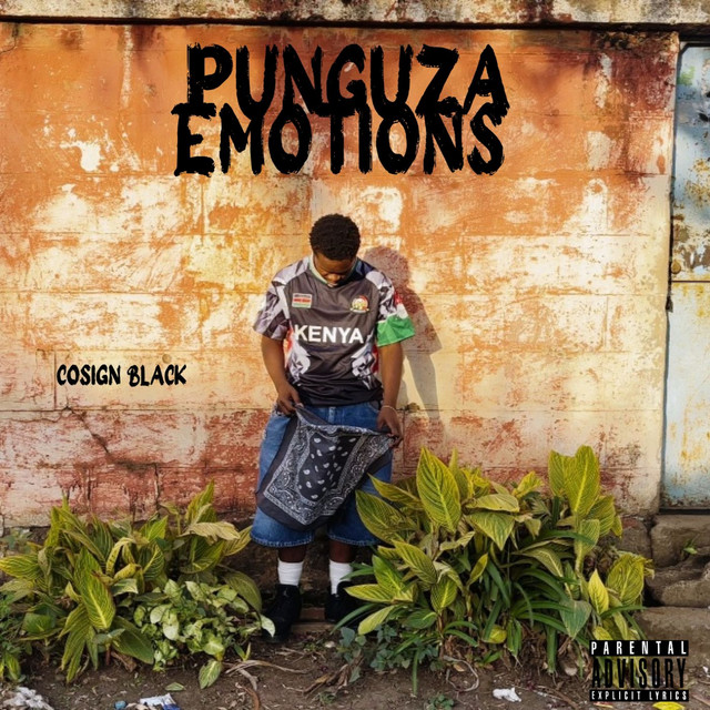 'Punguza Emotions' cover art