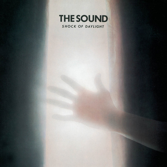 'Shock of Daylight' cover art