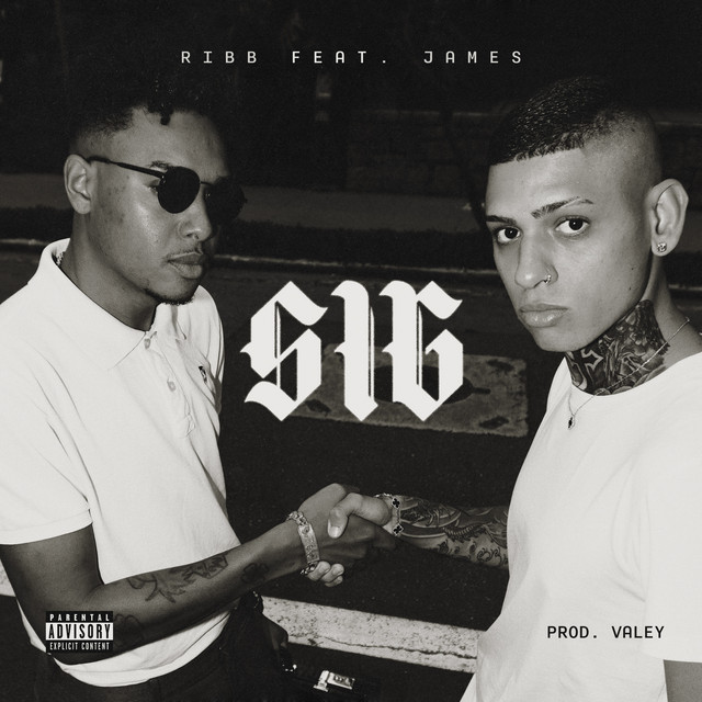 'Sig' cover art